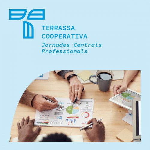 Activitat Professional